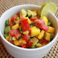 Tropical Salsa