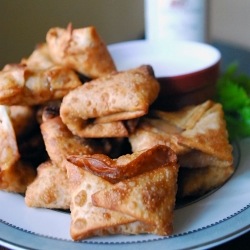 Hot Wing Wontons