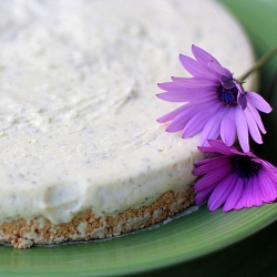 Lemon Myrtle No-Bake Cheesecake