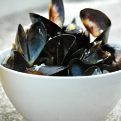 Penn Cove Mussels