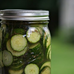 Hot Momma Refrigerator Pickles