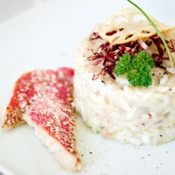 Mullet and Lotus Risotto