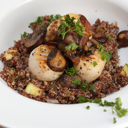 Sea Scallops with Pork Jowl Mushrooms