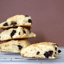 Ricotta Chocolate Chips Scones