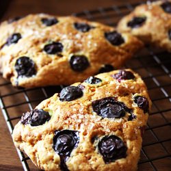 Blueberry Scones