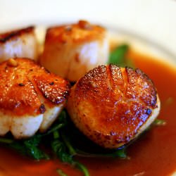 Seared Scallops