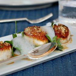 Scallops with Hazelnut