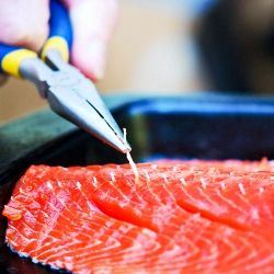 How to Fillet a Salmon