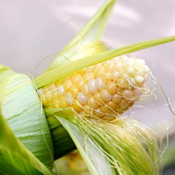 Corn, Tomatoes, and Black Bean Sala