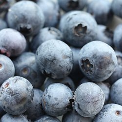 Blueberry Oatmeal Muffins