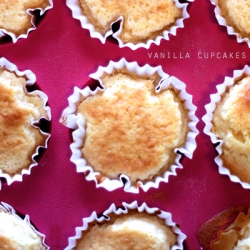 Vanilla Cupcakes