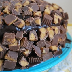 Peanut Butter Chocolate Cake