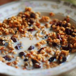 Homemade Cranberry Pecan Granola