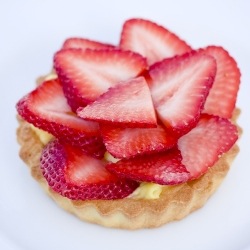 Fresh Fruit Tart