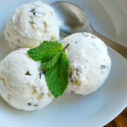 Mint Chocolate Chip Ice Cream