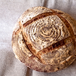 Sourdough Bread