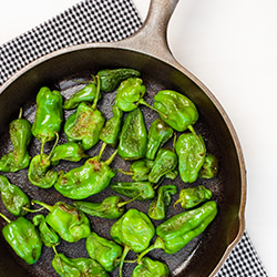 Fried Padron Peppers