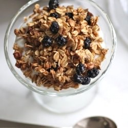 Blueberry and Pecan Granola