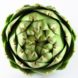 Warm Salad of Artichoke and Shrimp