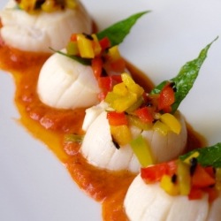 Konkan Scallops