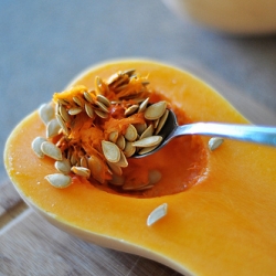 Baby Food: Butternut Squash