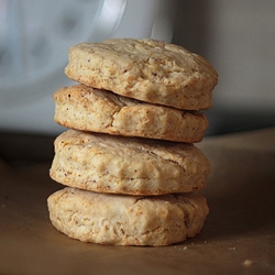 Brown Butter Biscuits