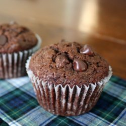 Chocolate Zucchini Muffins