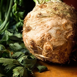 Celeriac The Ugliest, Yet Tasty