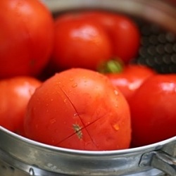 Peeling Tomatoes