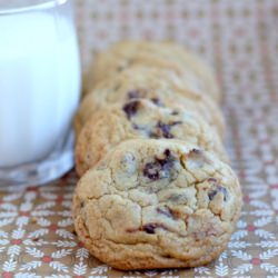 Browned Butter Chocolate Chip Cookies