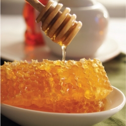 Honey Basics