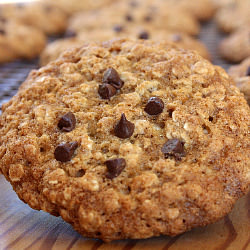 Oatmeal Chocolate Chip Cookies