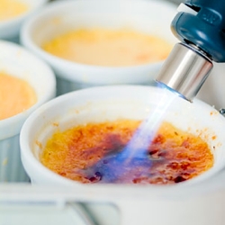 Anise Creme Brulè