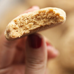 Maple Cookies