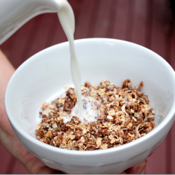 Chocolate Peanut Butter Granola