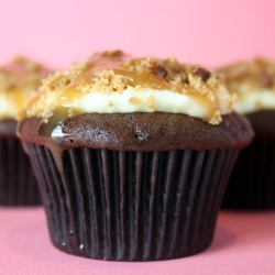 Turtle Cheesecake Cupcakes