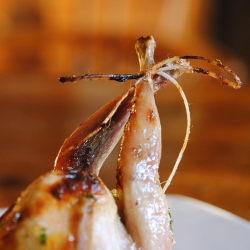 Roasted Quail