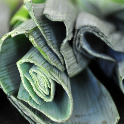 Spinach, Leek and Potato Soup