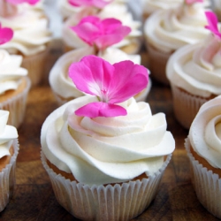 Sparkling Wine Cupcakes