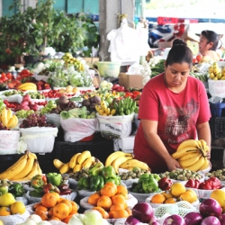 Morning at the Market