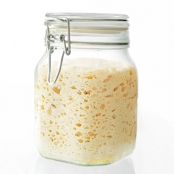 Sourdough Starter