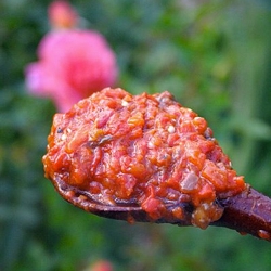 Ajvar