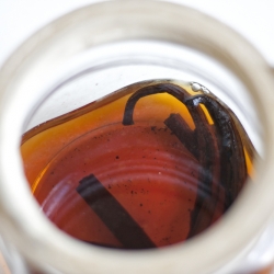 Vanilla Extract