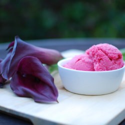 Pluot Sorbet