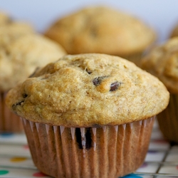 Banana Chocolate Chip Muffins