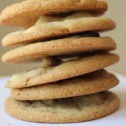 Soft and Chewy Chocolate Cookies