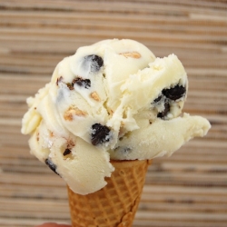 Coconut Almond Chip Ice Cream