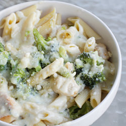 Chicken Broccoli Alfredo