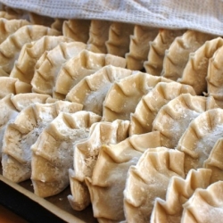 Homemade Gyoza