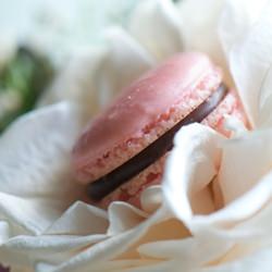 Milk Chocolate Macarons